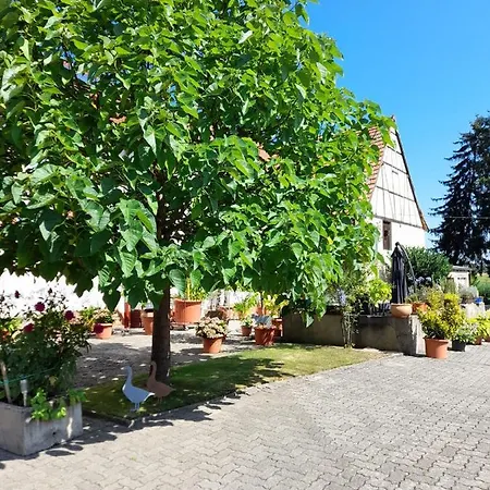 Apartment Ferienwohnung 