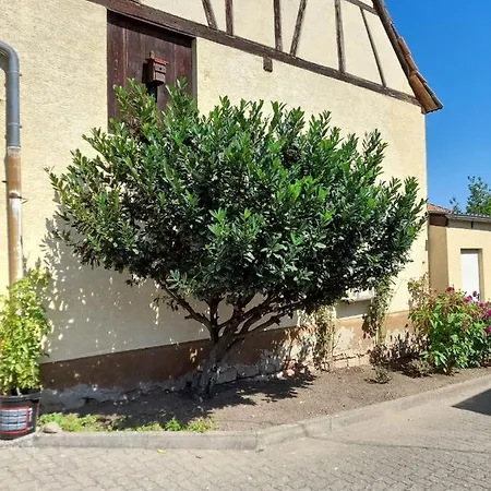 Apartment Ferienwohnung 