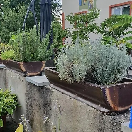 Ferienwohnung 