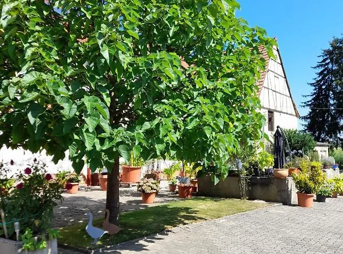 Apartamento Ferienwohnung 