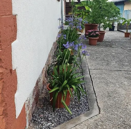 Apartamento Ferienwohnung 